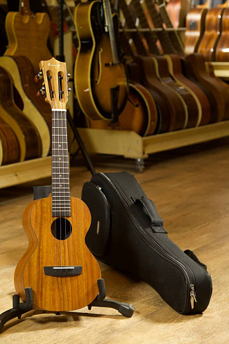 Укулеле Enya EUC-X1 Concert - купить в "Гитарном Клубе"