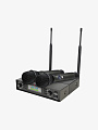Микрофонная радиосистема Axelvox DX800FK - купить в "Гитарном Клубе"