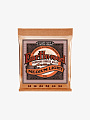 Струны для акустической гитары Ernie Ball 2146 Earthwood Phosphor Bronze, 12-54 - купить в "Гитарном Клубе"