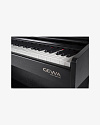 Цифровое пианино GEWA DP 300 Black - купить в "Гитарном Клубе"