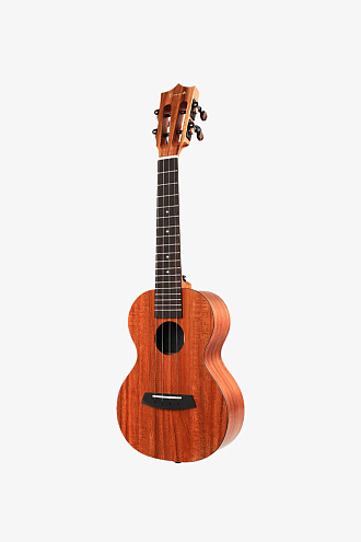 Укулеле Enya EUC-X1 Concert - купить в "Гитарном Клубе"