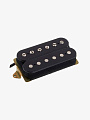 Гитарный звукосниматель DiMarzio DP155BK The Tone Zone, Bridge - купить в "Гитарном Клубе"