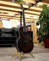 Электроакустическая гитара Ovation CS24P-NBM Celebrity Standard Plus Mid Cutaway Nutmeg Burled Maple - купить в "Гитарном Клубе"