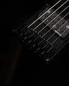 Электрогитара Schecter Pt Blk M\M - купить в "Гитарном Клубе"