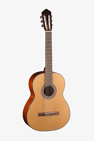 Классическая гитара Cort AC200-NAT - купить в "Гитарном Клубе"
