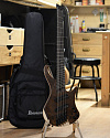 Бас-гитара Ibanez EHB1265MS-NML, Natural Mocha - купить в "Гитарном Клубе"