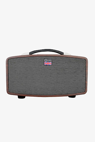 Усилитель для электрогитары Carlsbro Stingray D5, 20Вт - купить в "Гитарном Клубе"