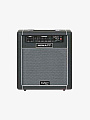 Комбоусилитель для бас-гитары HIWATT MAXWATT B20/10, 20 Вт, 1Х10" Hiwatt High Performance Speaker - купить в "Гитарном Клубе"