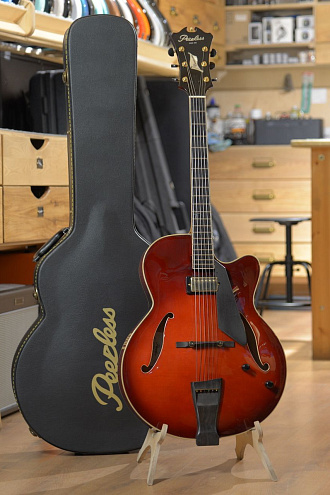 Полуакустическая гитара Peerless GigMaster Custom - купить в "Гитарном Клубе"