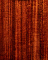 Электроакустическая гитара Ovation CE44P-FKOA Celebrity Elite Plus Mid Cutaway Natural Figured - купить в "Гитарном Клубе"