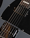 Электрогитара Schecter Pt Ex Dorian Gray - купить в "Гитарном Клубе"