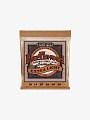 Струны для акустической гитары Ernie Ball 2150 Earthwood Phosphor Bronze, 10-50 - купить в "Гитарном Клубе"