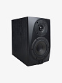 Студийный монитор Icon DT-5S - купить в "Гитарном Клубе"