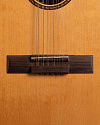 Акустическая 12-струнная гитара Mariachi D-ML/R12 - купить в "Гитарном Клубе"