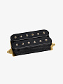 Гитарный звукосниматель DiMarzio DP100BK Super Distortion, Bridge - купить в "Гитарном Клубе"