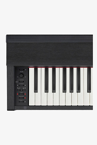 Цифровое пианино Casio PX-870BK - купить в "Гитарном Клубе"