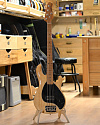 Бас-гитара Sterling by MusicMan RAY35 Ashwood Natural - купить в "Гитарном Клубе"