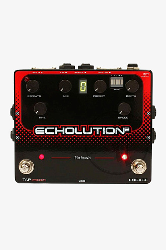 Гитарная педаль Pigtronix E2B Echolution 2 Delay - купить в "Гитарном Клубе"