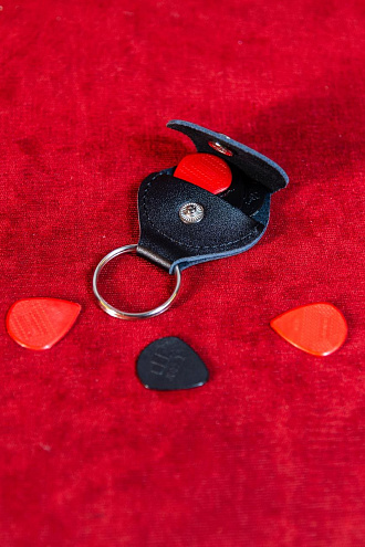 Держатель для медиаторов Dunlop 5201, Silver - купить в "Гитарном Клубе"