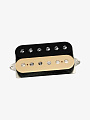 Гитарный звукосниматель DiMarzio DP163BC Bluesbucker - купить в "Гитарном Клубе"