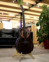 Электроакустическая гитара Ovation CE44P-TGE Celebrity Elite Plus Mid Cutaway Dark Tiger Eye - купить в "Гитарном Клубе"