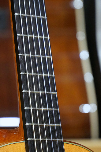 Фламенко гитара мастера Vicente Carillo 2019 г.в - купить в "Гитарном Клубе"