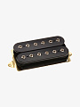 Гитарный звукосниматель DiMarzio DP216BK Mo