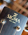 Акустическая гитара Sigma DM-1L - купить в "Гитарном Клубе"