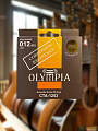 Струны для акустической гитары Olympia, бронза 80/20, 12-53 - купить в "Гитарном Клубе"