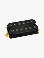 Гитарный звукосниматель DiMarzio DP213BK PAF, Neck - купить в "Гитарном Клубе"