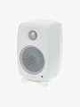 Студийный монитор Genelec 8010AW - купить в "Гитарном Клубе"