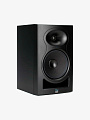 Студийный монитор Kali Audio LP-8 V2 - купить в "Гитарном Клубе"