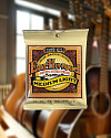 Струны для акустической гитары Ernie Ball 2003 Earthwood, 12-54 - купить в "Гитарном Клубе"