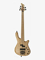 Бас-гитара Mayones Elegance 5 Classic - купить в "Гитарном Клубе"