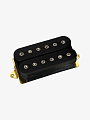 Гитарный звукосниматель DiMarzio DP219BK D Activator, Neck - купить в "Гитарном Клубе"