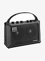 Комбоусилитель для электрогитары Roland MB-CUBE, 5 Вт - купить в "Гитарном Клубе"