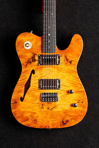 Электрогитара Inspector TT Semi-Hollow Custom  - купить в "Гитарном Клубе"