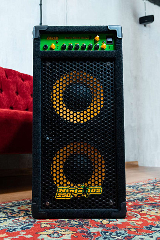 Комбоусилитель для бас-гитары Markbass Ninja 102-250, 2x10", 250Вт - купить в "Гитарном Клубе"