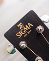 Акустическая гитара Sigma DM-1 - купить в "Гитарном Клубе"