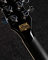 Электрогитара Schecter Solo-II Custom Gnat/Blk - купить в "Гитарном Клубе"