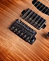 Электрогитара Mayones Aquila Emory 6 - купить в "Гитарном Клубе"