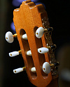 Классическая гитара Alhambra Mod. Ziricote - купить в "Гитарном Клубе"