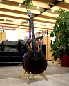 Электроакустическая гитара Ovation CE44-RRB Celebrity Elite Mid Cutaway - купить в "Гитарном Клубе"