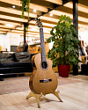 Классическая гитара Prudencio 3-CW (52) Cedar - купить в "Гитарном Клубе"