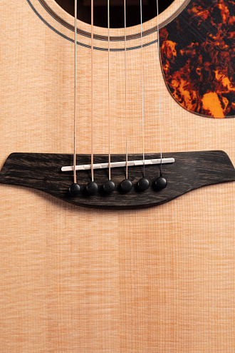 Акустическая гитара Furch Blue D-SW - купить в "Гитарном Клубе"