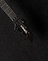Электрогитара Edwards By ESP Forest E-FR-140GT Japan - купить в "Гитарном Клубе"