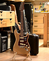 Электрогитара Fender American Professional II Stratocaster Rosewood Firemist Gold - купить в "Гитарном Клубе"