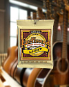 Струны для акустической гитары Ernie Ball Earthwood 80/20 Bronze, 11-52 - купить в "Гитарном Клубе"