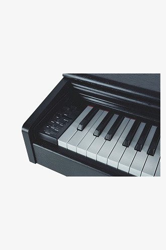 Цифровое пианино GEWA DP 300 Black - купить в "Гитарном Клубе"