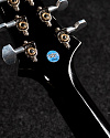 Электрогитара PRS P22 PIEZO ARTIST PACKAGE 85/15